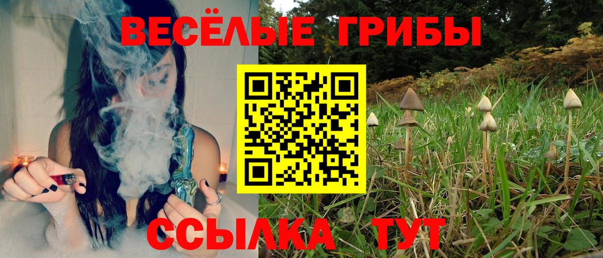 Псилоцибиновые грибы Magic Shrooms Лесосибирск